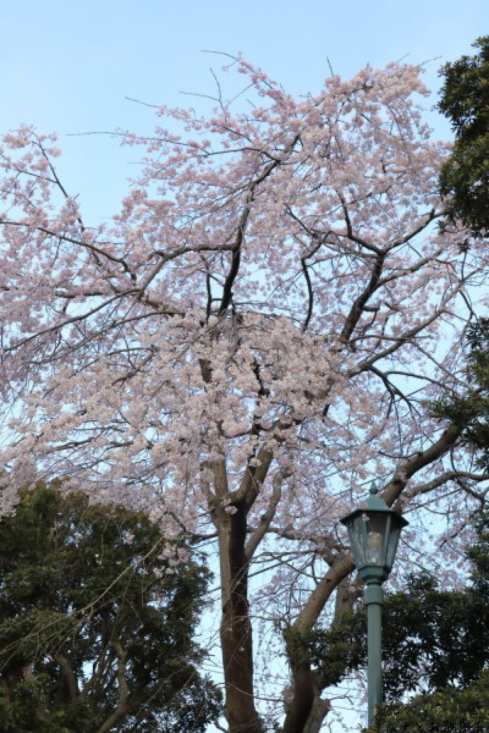 b0275998_11211443.jpg