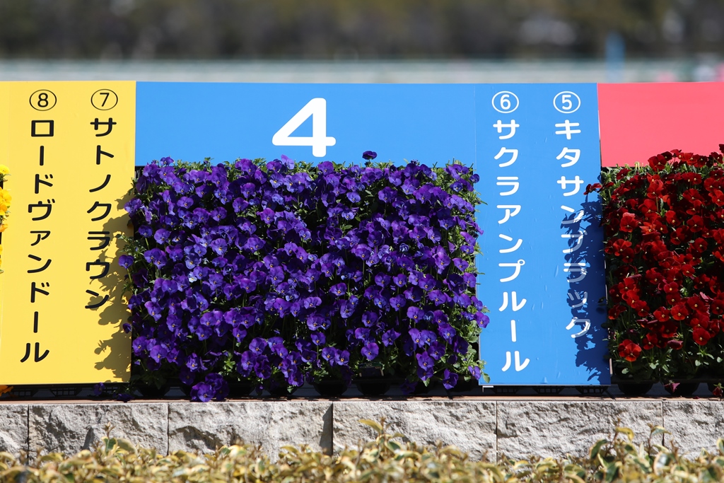 f0204898_0533854.jpg