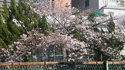 b0366199_16301862.jpg