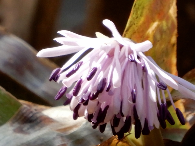 e0025300_16235721.jpg