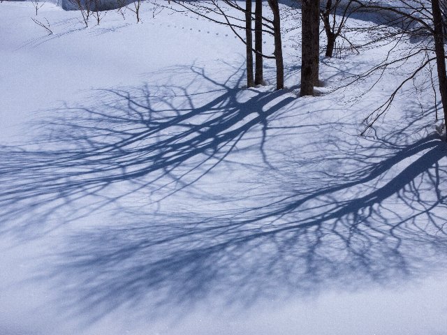 c0008502_2005655.jpg