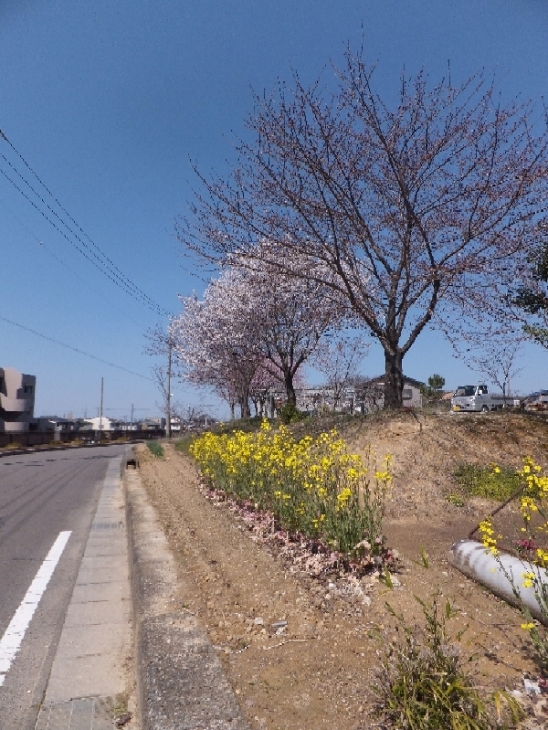 b0000209_16374589.jpg
