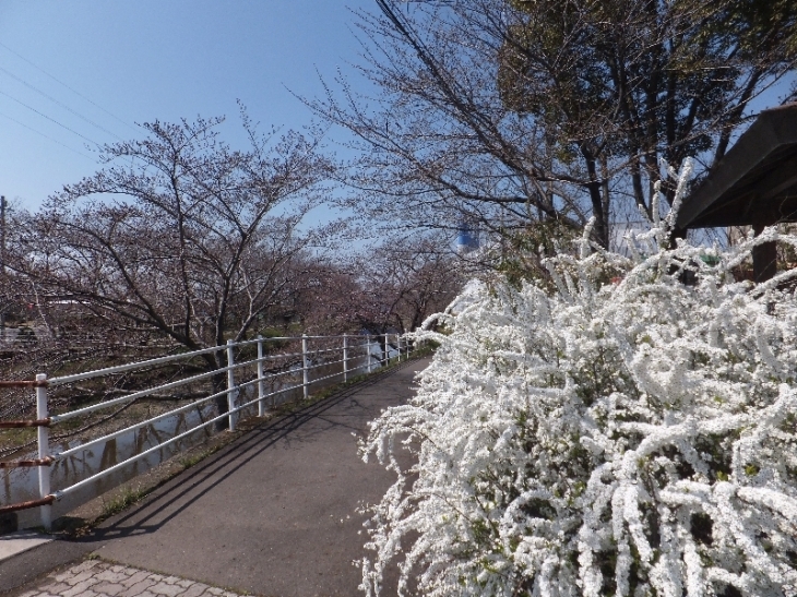 b0000209_16374873.jpg