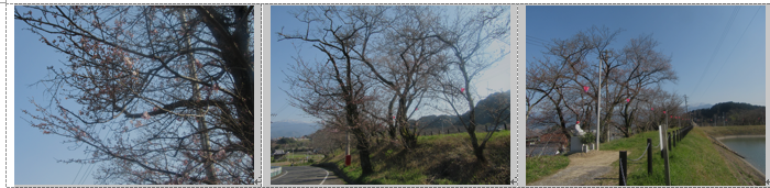 f0231709_1141256.png