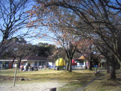 f0231709_1323443.jpg