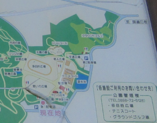 f0231709_1341142.png