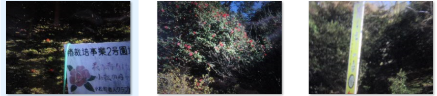 f0231709_2135988.png
