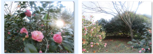 f0231709_29344.png