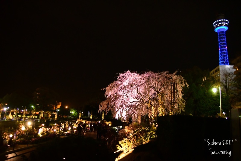 b0223512_22370789.jpg