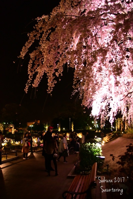 b0223512_22475423.jpg
