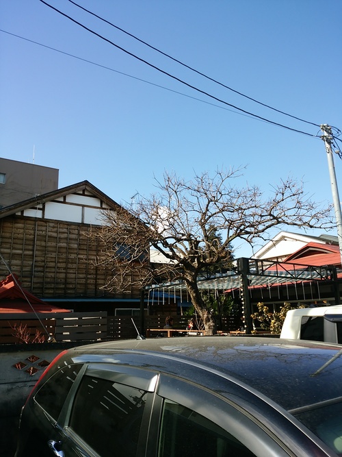 e0239312_22581165.jpg