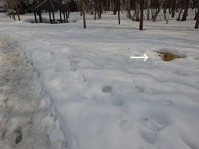 f0328313_11491310.jpg
