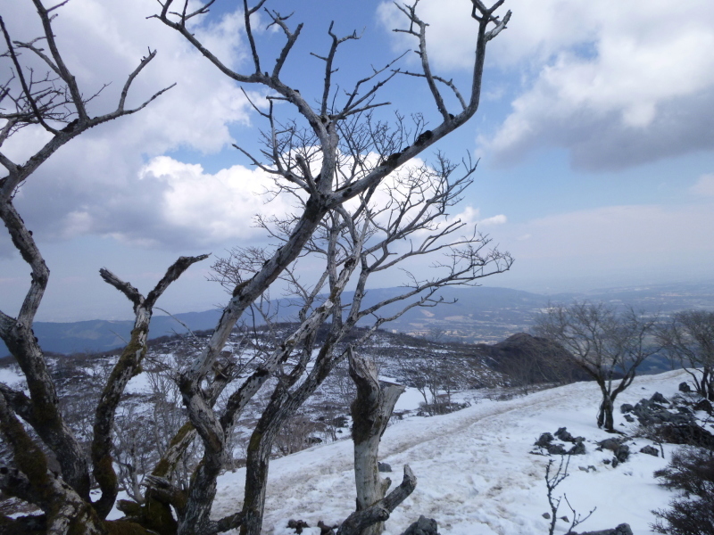 d0170615_19595500.jpg