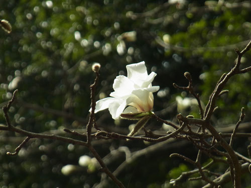 a0214919_05581403.jpg
