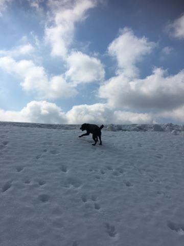 c0114121_23533141.jpg
