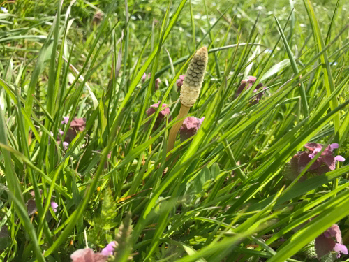 e0163721_08292531.jpg