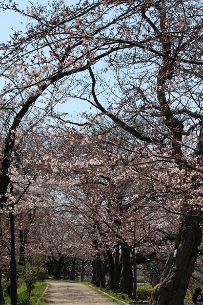 c0280322_23154724.jpg