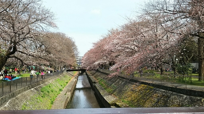 f0106823_18120913.jpg