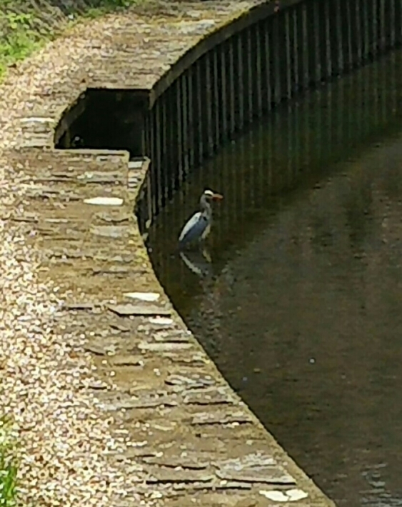 f0106823_18121345.jpg
