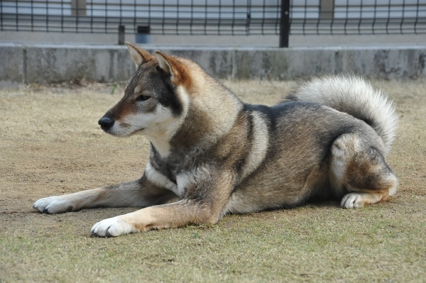 f0143123_09404094.jpg