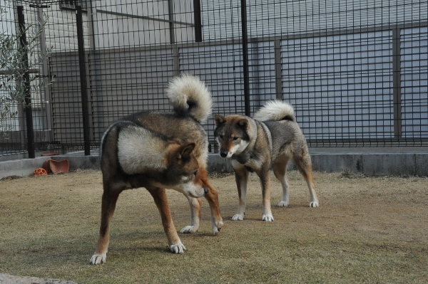 f0143123_09404720.jpg