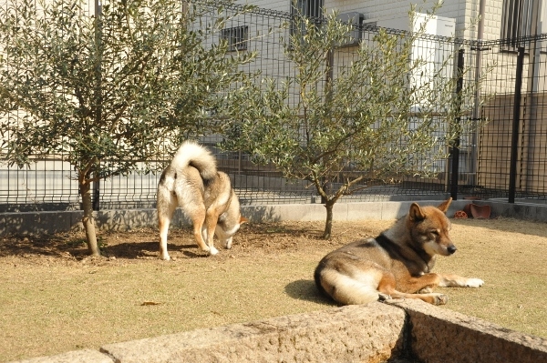 f0143123_09411578.jpg
