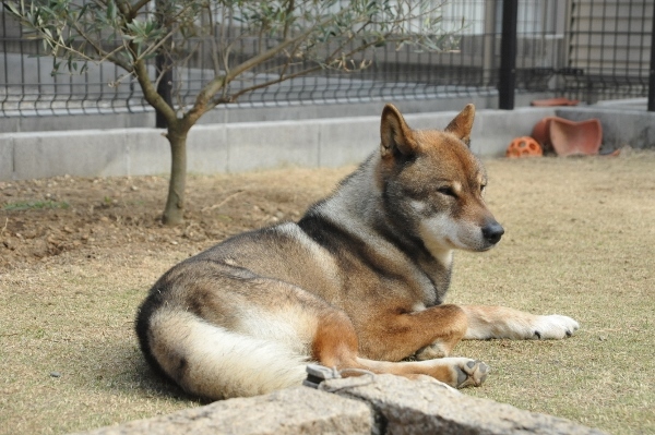 f0143123_09412353.jpg