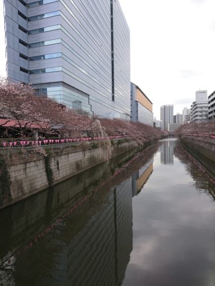 b0312126_08042012.jpg