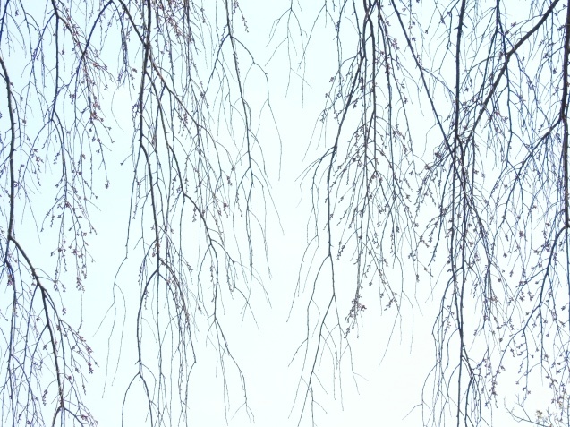 a0248728_17484173.jpg