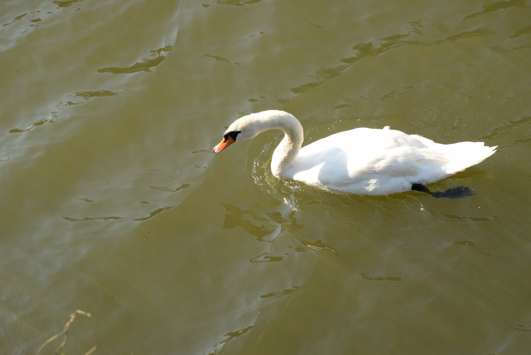 b0097729_22282338.jpg