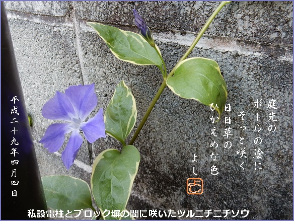 e0033229_1953646.jpg