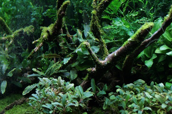 f0363529_23152577.jpg