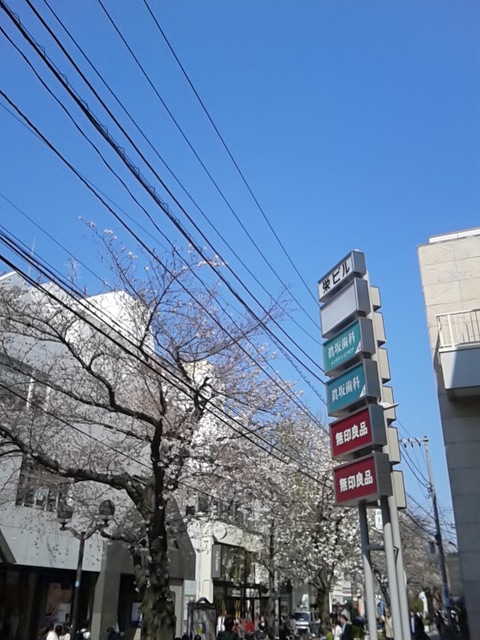 d0014133_13433077.jpg