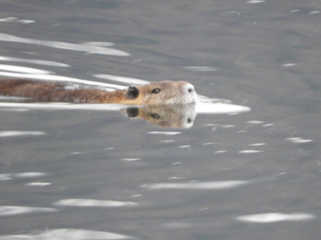f0113136_2035534.jpg