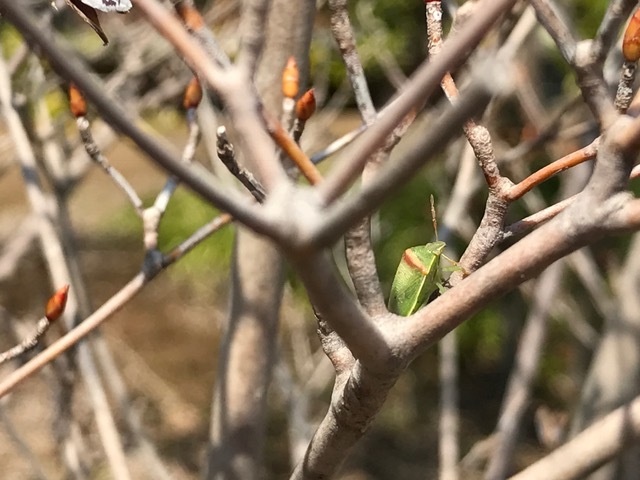 c0289938_08504190.jpg