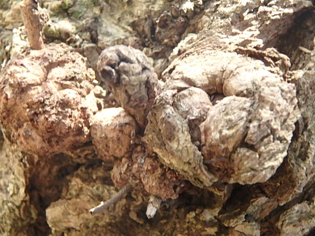 f0334143_8412484.jpg