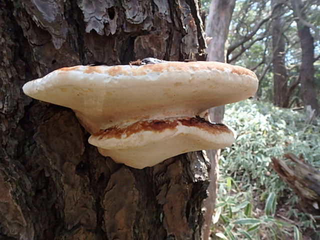 f0334143_8434186.jpg