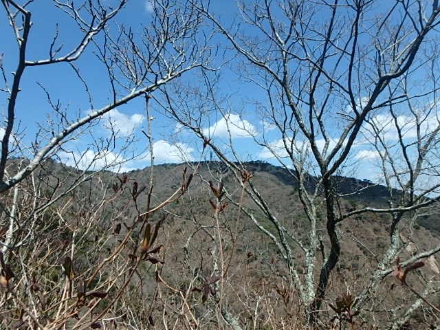 f0334143_8512422.jpg