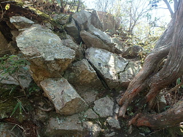 f0334143_8524145.jpg