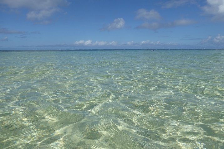 d0288144_17521716.jpg