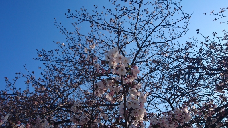 b0028845_07085519.jpg