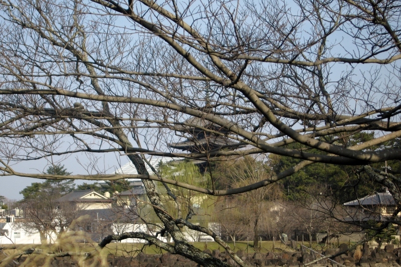 b0028845_23204093.jpg