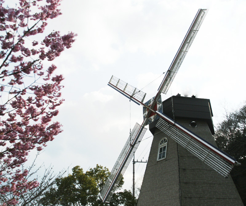 d0322448_22210325.jpg