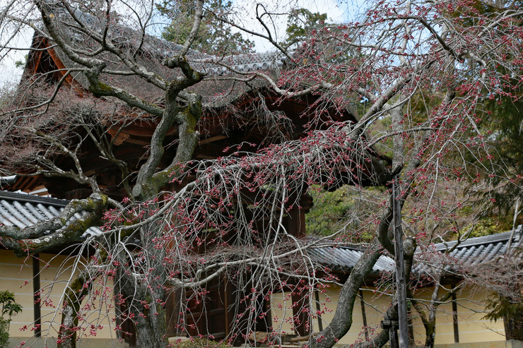 a0120949_70198.jpg