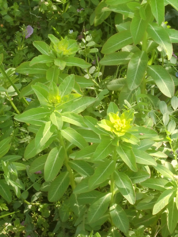 f0329849_12022347.jpg