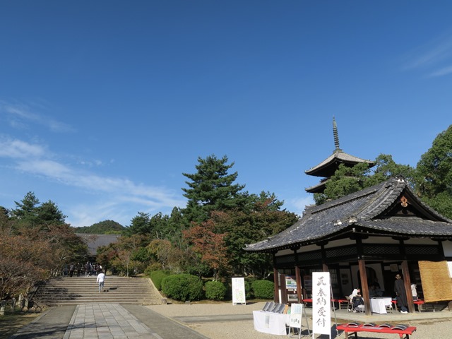 e0017051_22374282.jpg