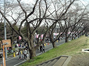 c0001653_23385525.jpg