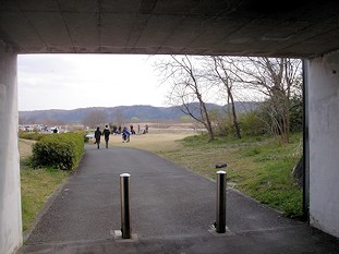 c0001653_23390042.jpg