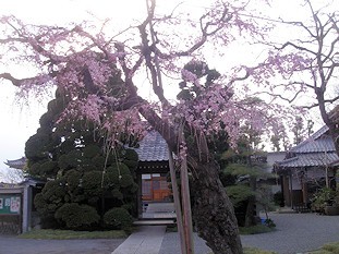 c0001653_23392682.jpg