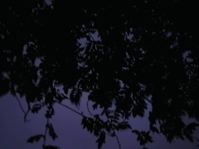 d0269455_00165376.jpg